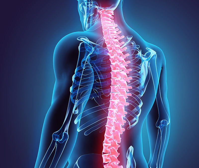 Back Pain Herniated Discs vs. Bulging Discs The Center