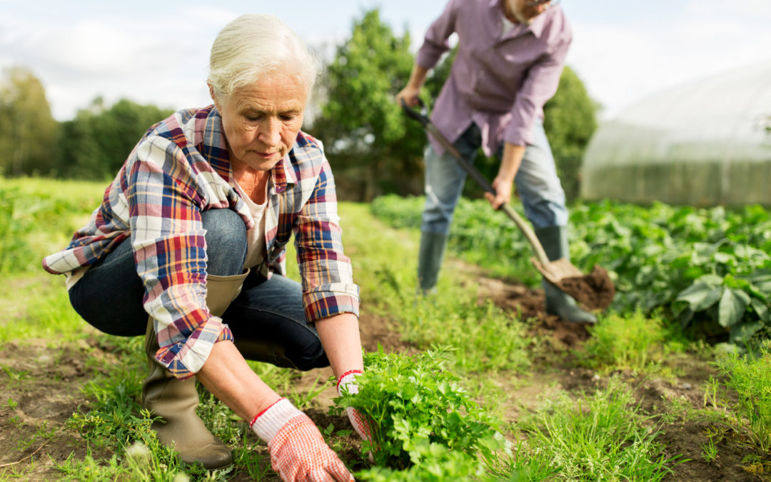 Staying Active with Arthritis