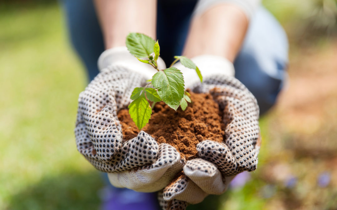 Avoiding Common Gardening Injuries