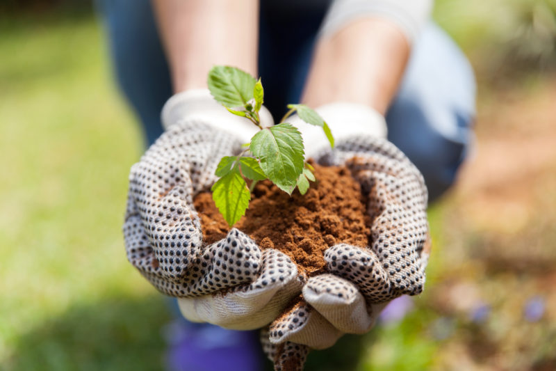 Common Injuries While Gardening.