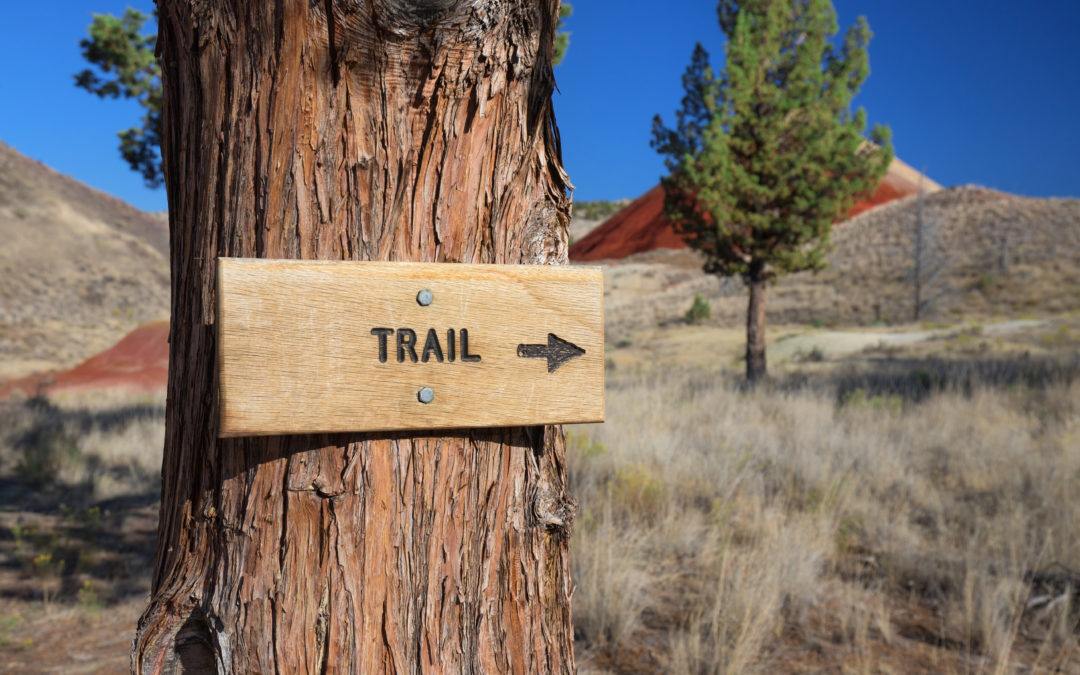 Avoid These Common Hiking Injuries