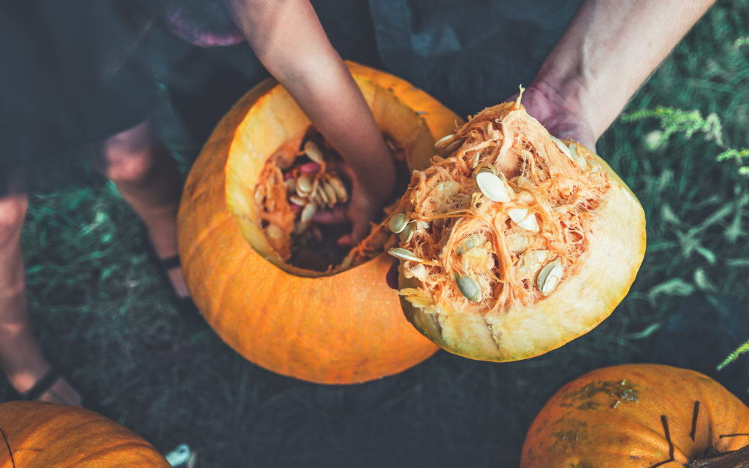 Pumpkin carving safety