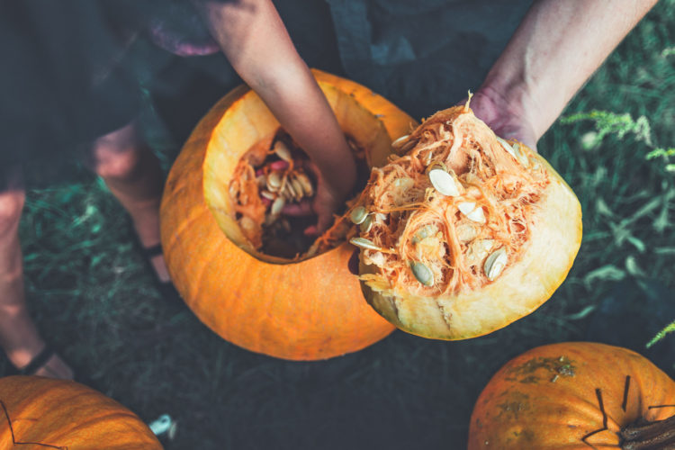 Pumpkin carving safety