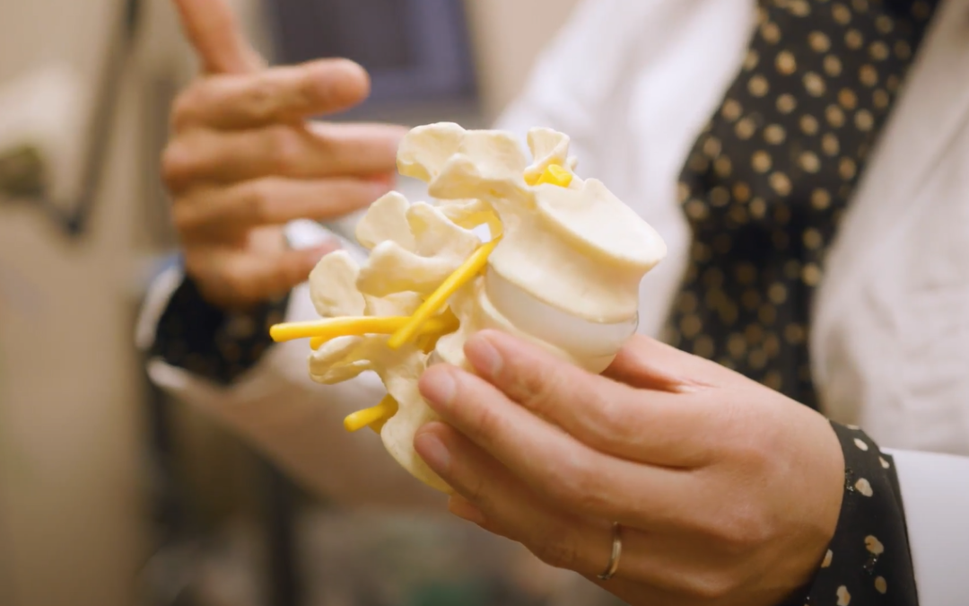 Understanding Spasticity