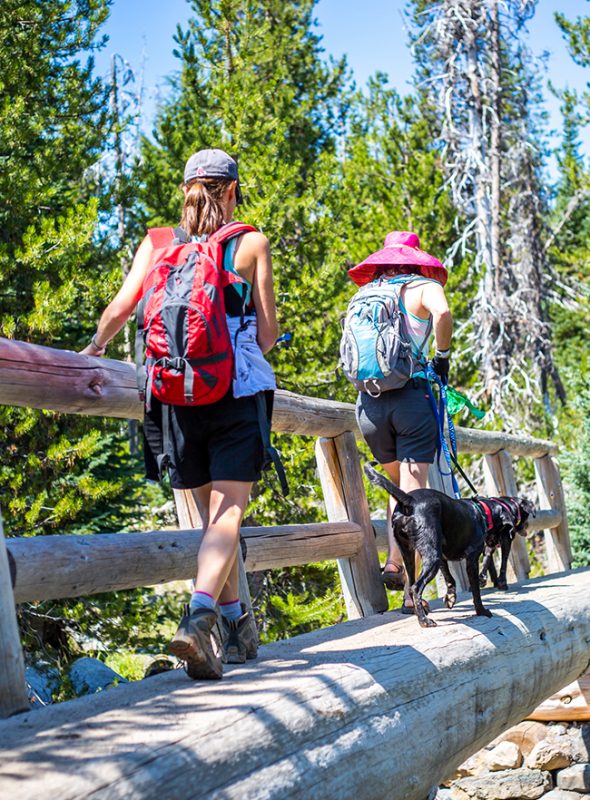 women hiking with dogs