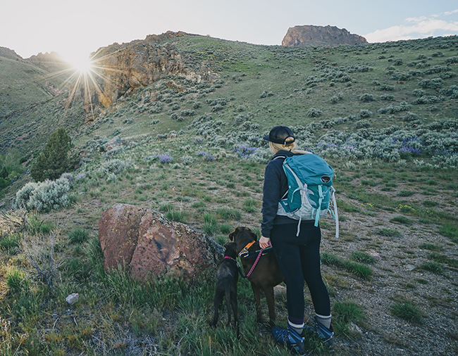 woman hiking with two dogs
